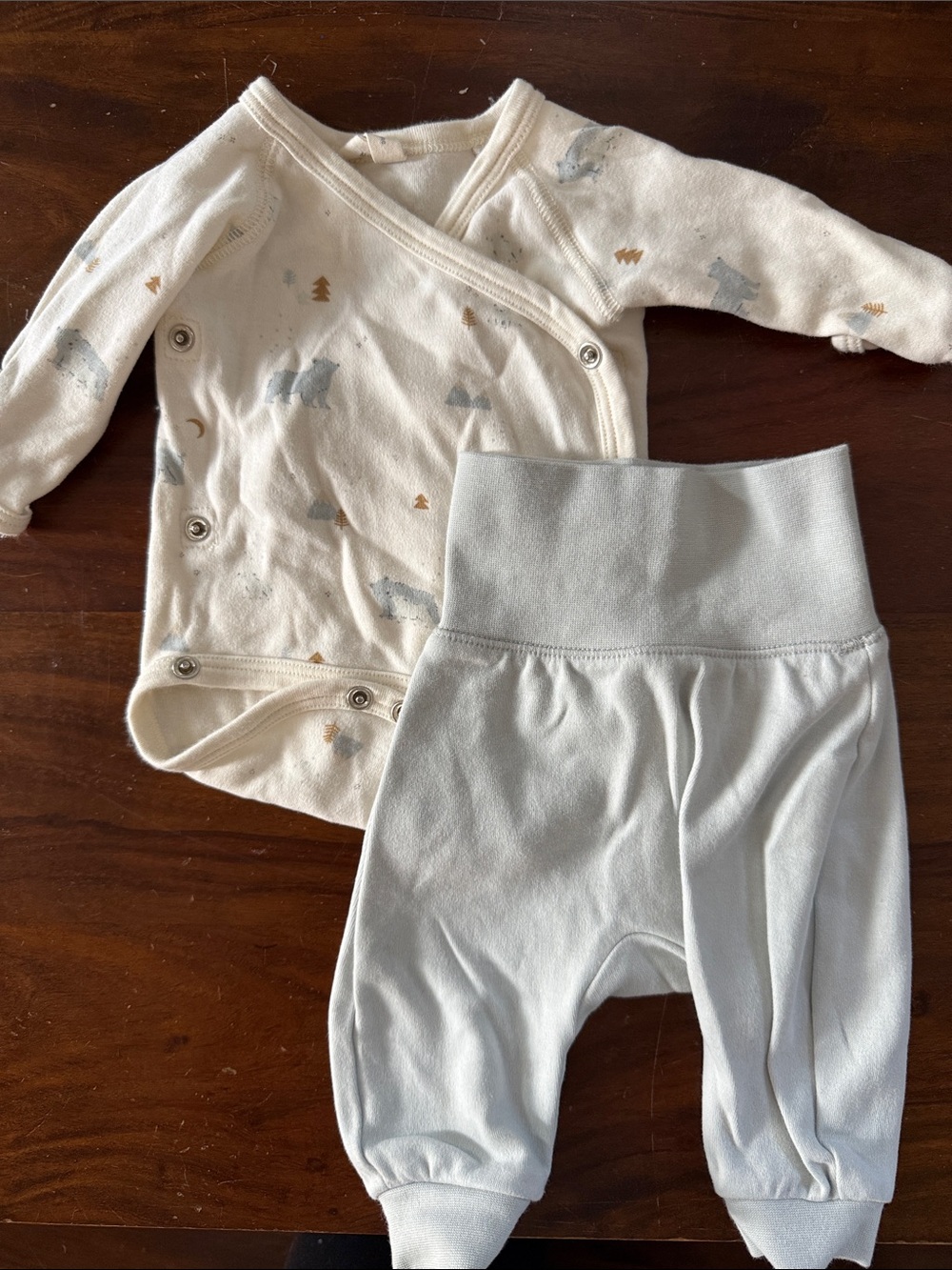 Quincy Mae Ivory Wrap Bodysuit with Gray Pants - Bear & Tree Print
